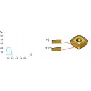 CCMT 06 02 04-UF 1125