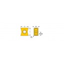 H490 ANKX 170608PNTR IC808