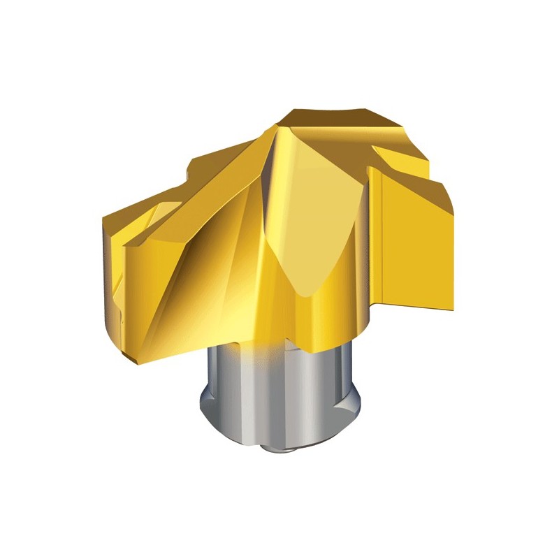 Terebor 500 ml